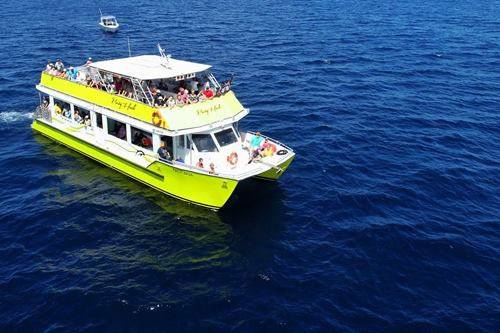 Sea Taxi Day charter Power Catamaran 64 2000 for sale by ...
